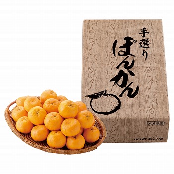 啪Y ۂ񂩂 (OP-50)y͂ԁF12{`z